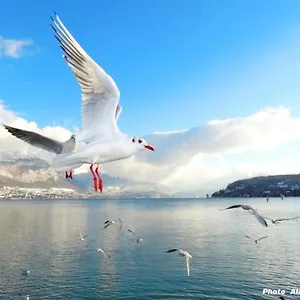 https://lake-home.hotels-rhonealpes.com